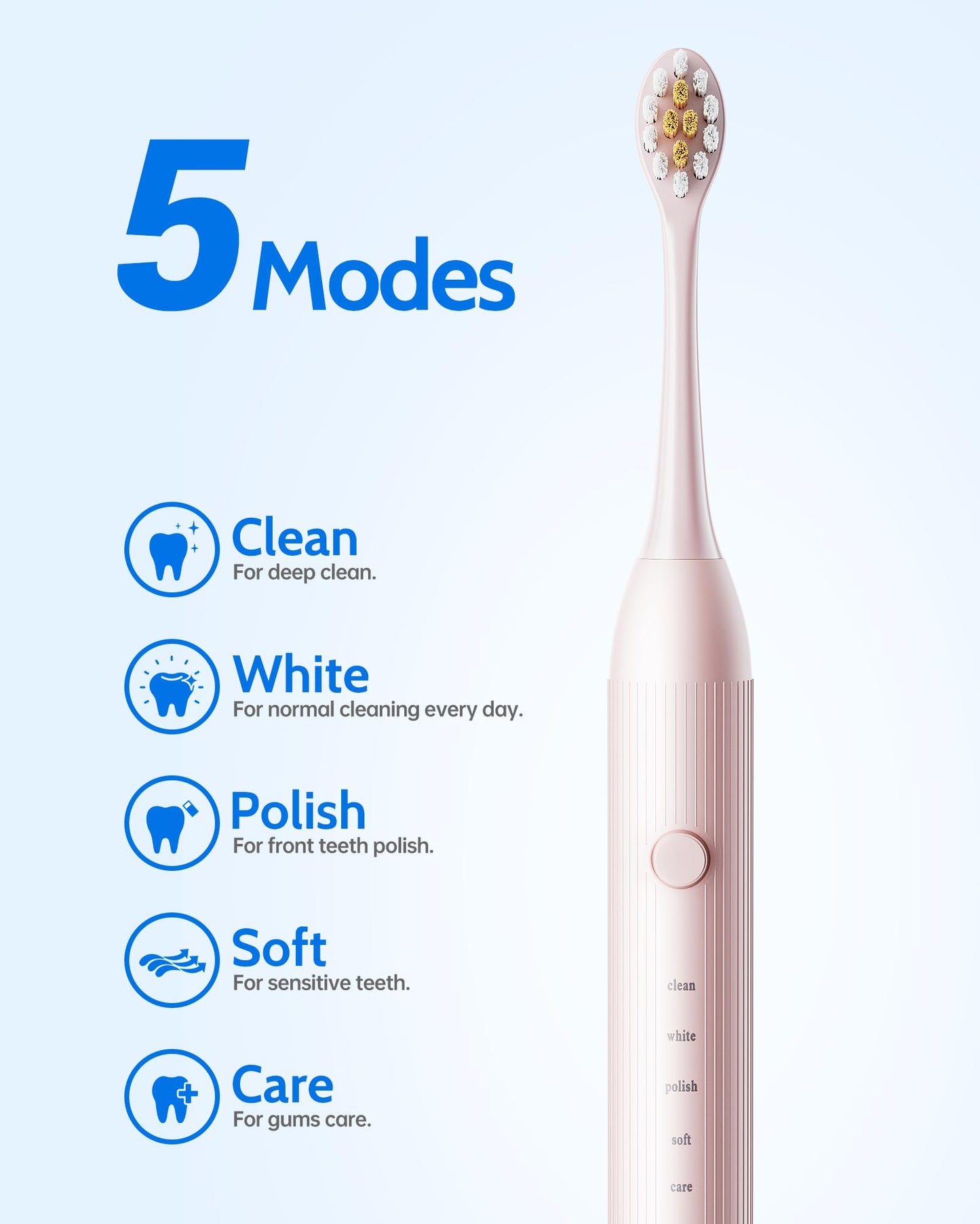 Electric Toothbrush Set with 12 Brush Heads