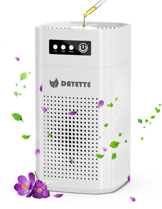 H13 HEPA Air Purifier for Small Rooms