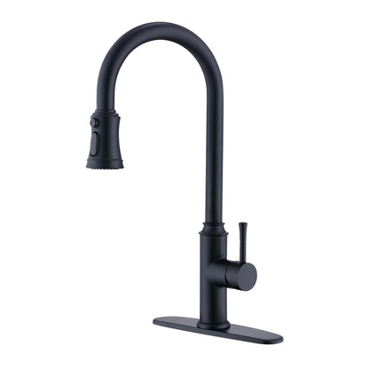 Trysea Pull Down Kitchen Faucet, Brushed Black
