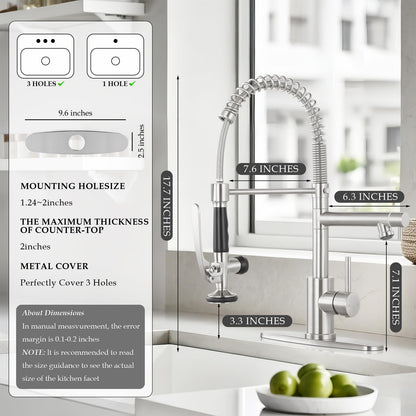 Dual Spout Kitchen Faucet with Pull Down Sprayer