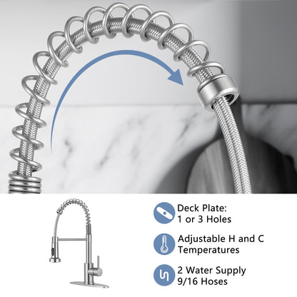 Pull Down Kitchen Faucet with Sprayer by DJS