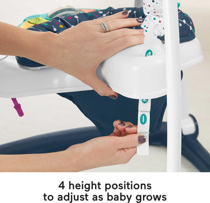 Fisher-Price Astro Kitty Baby Bouncer Jumperoo