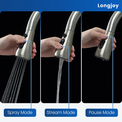 Longjoy Kitchen Faucets,Single Handle High Arc Pull Down Kitchen Faucet,Stainless Steel Kitchen Sink Faucets with Pull Down Sprayer,Kitchen Sink Faucets for Laundry Bar