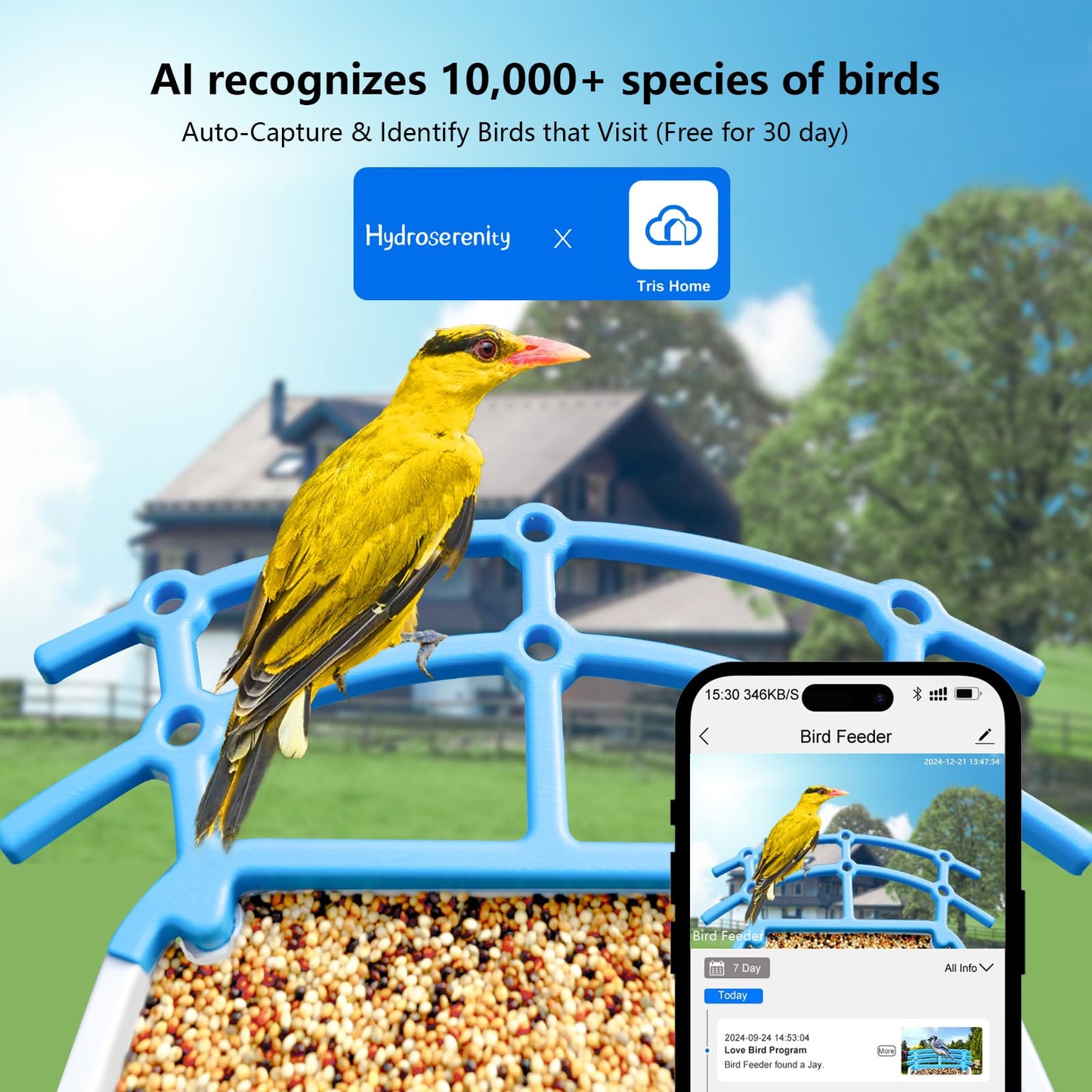 Smart Bird Feeder Camera with AI Detection