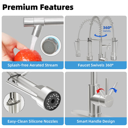 CABONG Pull Down Kitchen Faucet with Sprayer