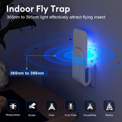 Flying Insect Trap, Mosquito Trap, Fruit Fly Traps for Indoors, 1 Device + 5 Glue Cards, Fly Traps Indoor for Home, Kitchen, Bedroom, Plant Area and Garage
