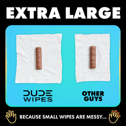 432 Pack DUDE Wipes Flushable Wipes Gift Set