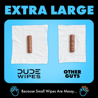 Dude Flushable Wipes with Aloe & Vitamin E