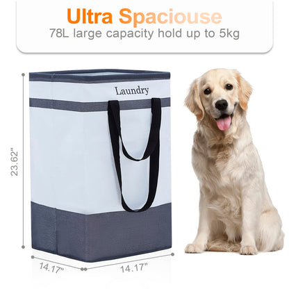 2 Pack Laundry Baskets with Carry Handles