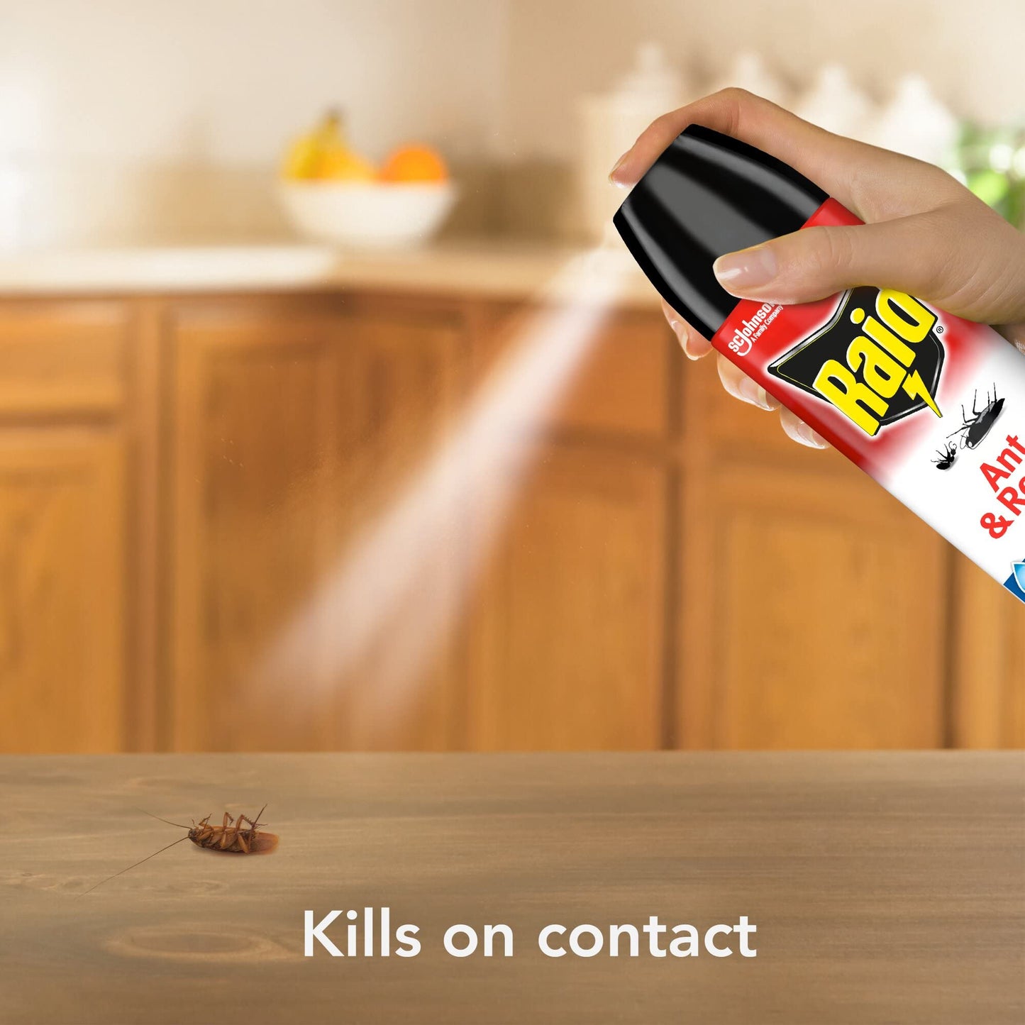 Raid Ant & Roach Aerosol Bug Spray, Water-Based Formula Insecticide With No Greasy Residue, Kills On Contact, 17.5 oz