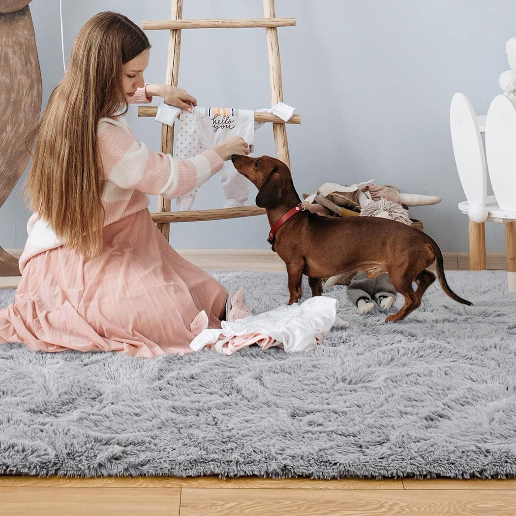 QXKAKA Soft Grey 4x6 Area Rugs for Living Room Bedroom, Shag Shaggy Floor Rug Fuzzy Fluffy Carpet Soft Plush Furry Rug, Machine Washable Large Rug for Kids Home Decor Aesthetic, Gray