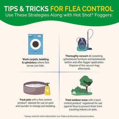 Hot Shot Fogger Kills Roaches, Ants, Fleas