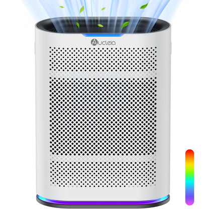 Large Room Air Purifier with Air Quality Monitor