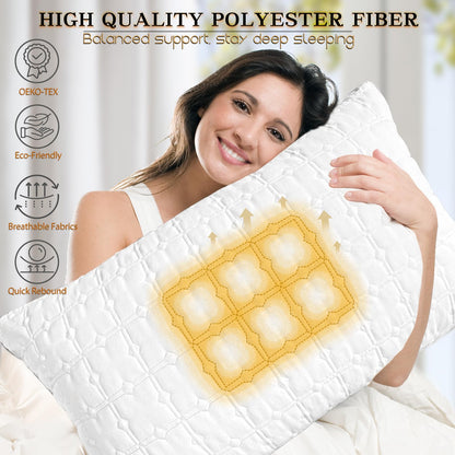 Queen Size Down Alternative Pillows Set of 2