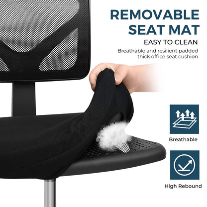 Ergonomic Mesh Task Chair with Lumbar Support