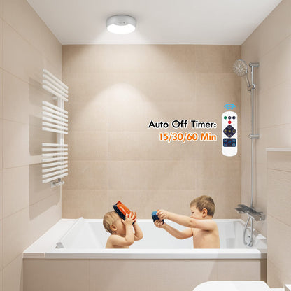 Battery Operated Motion Sensor Ceiling Light