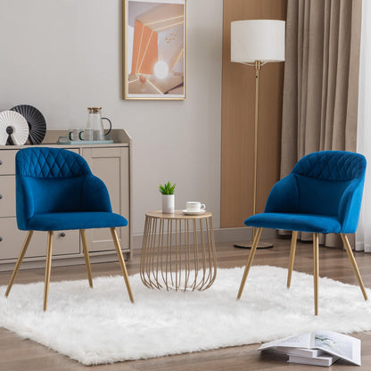 MINPINSER Velvet Dining Chairs Sets of 2, Modern Upholstered Accent Side Chairs with Arm Gold Metal Legs for Kitchen Living Bed Room, Blue