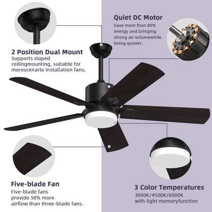 Jayjuly Ceiling Fans with Lights and Remote, Black Outdoor Fan with Adjustable Light 6 Speed Reversible DC Motor, 5 Blades Fan for Patio Bedroom Porch, 52 Inch