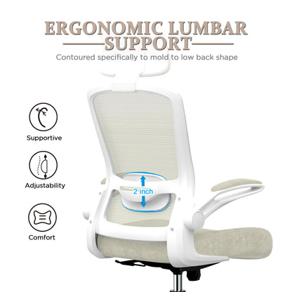 Ergonomic High Back Desk Chair with Lumbar Support