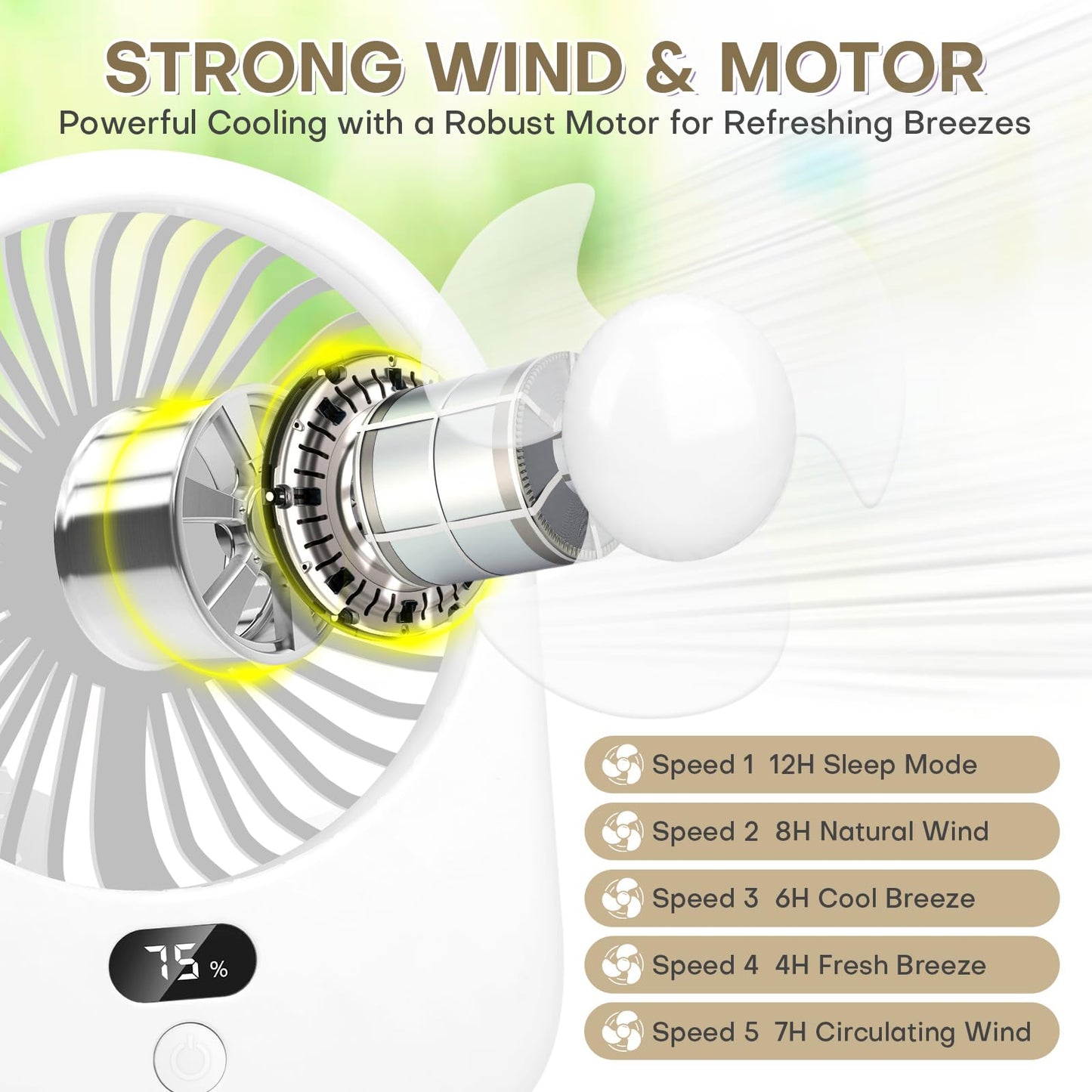 Portable Rechargeable Desk Fan with LED Light