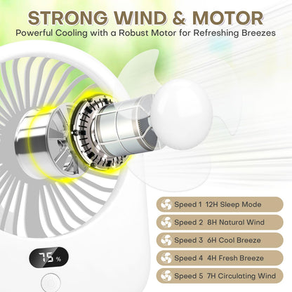 Portable Rechargeable Desk Fan with LED Light