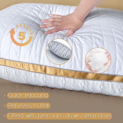 Queen Size Down Alternative Pillows Set of 2