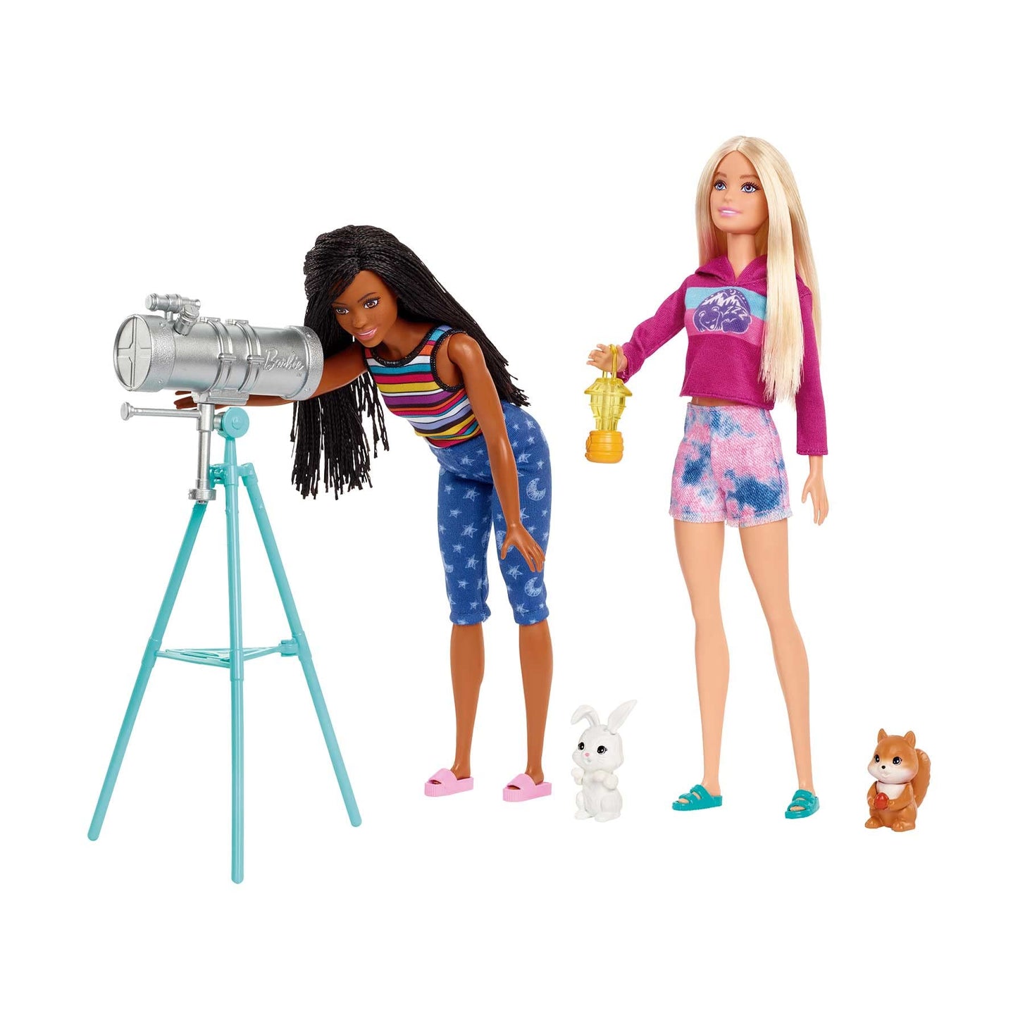 Barbie Camping Playset with 2 Dolls & Accessories