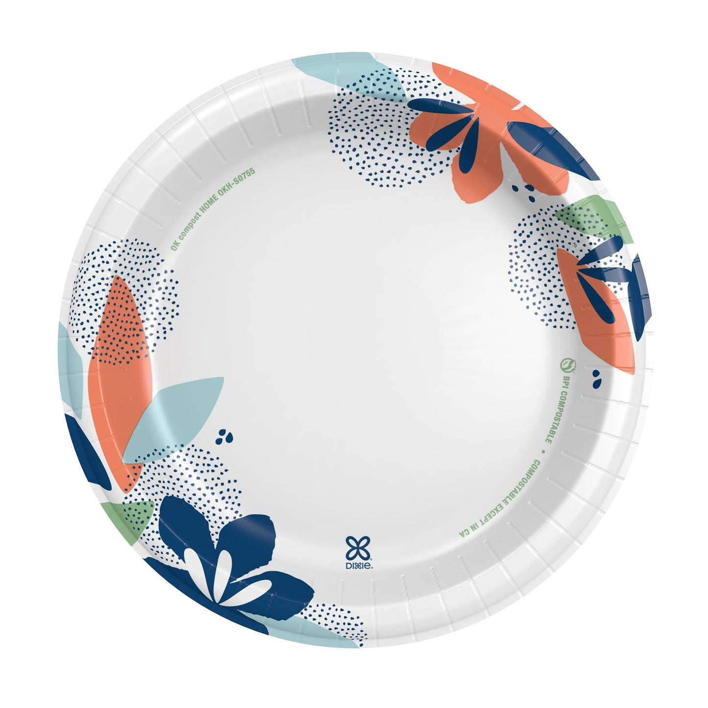 204 Count Dixie Disposable Paper Plates, 10 Inch