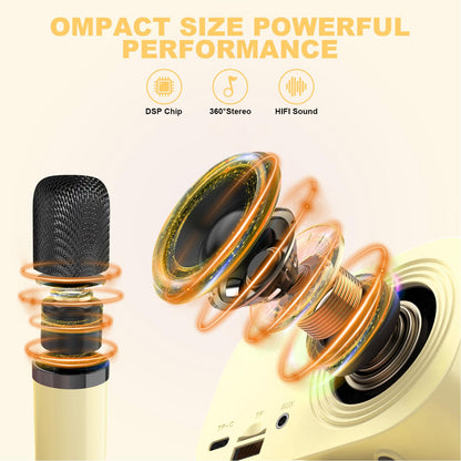 Portable Karaoke Machine with 2 Wireless Microphones