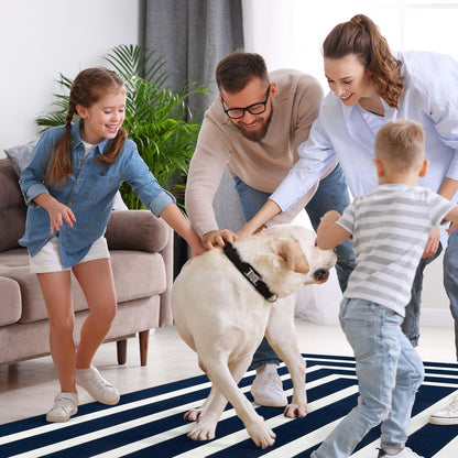 Lahome Modern Outdoor Patio Rug, Washable 5x8 Area Rug Living Room Bedroom Rugs Indoor Outdoor Cotton Rug, Farmhouse Woven Large Blue Geometric Carpet for Backyard Dining Porch
