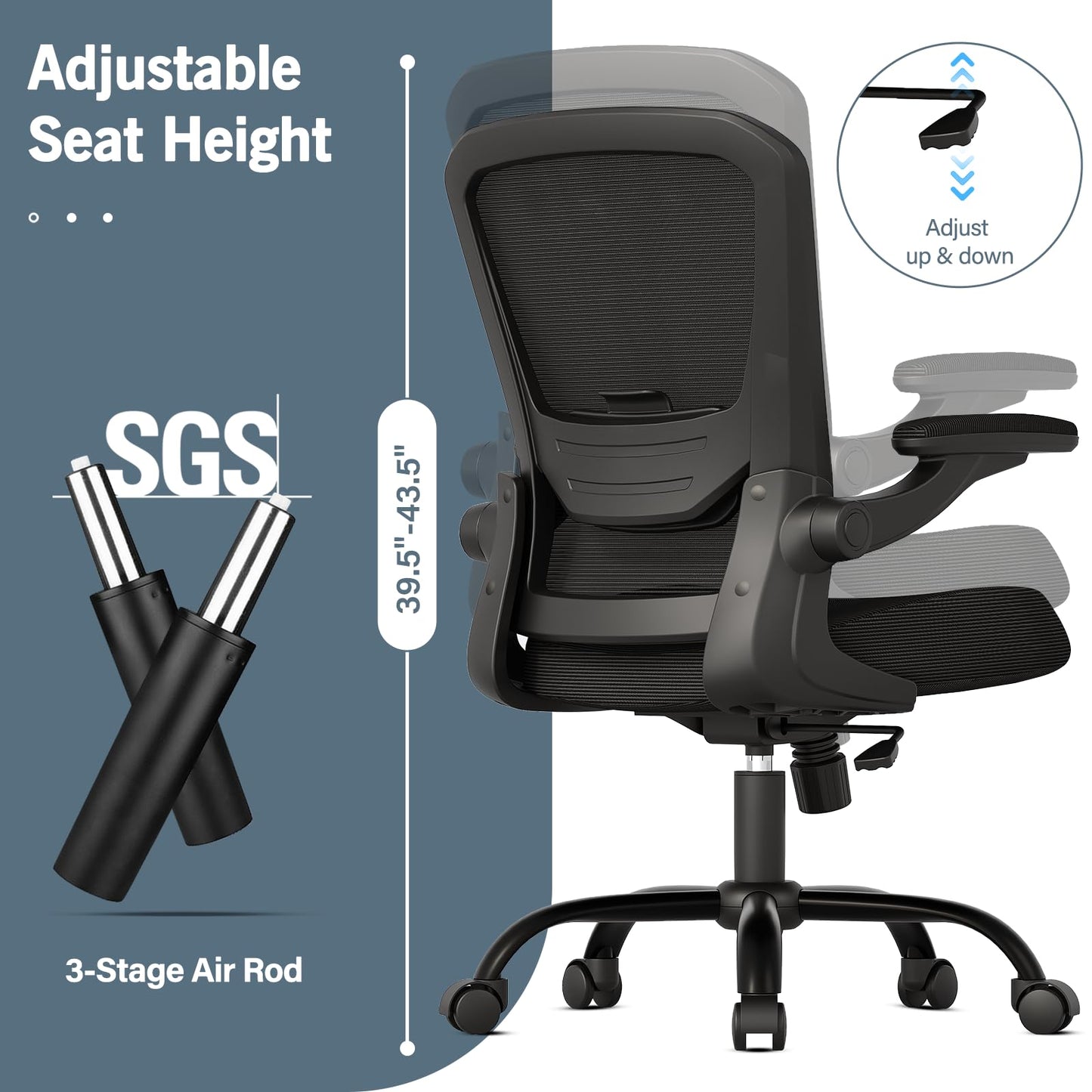 Monomi Ergonomic Desk Chair with Lumbar Support