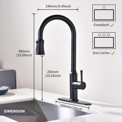 Trysea Pull Down Kitchen Faucet, Brushed Black