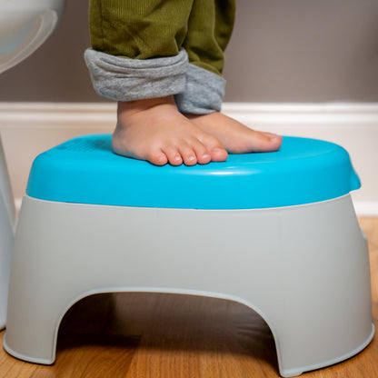 Summer Infant 3-in-1 Potty Seat and Stepstool