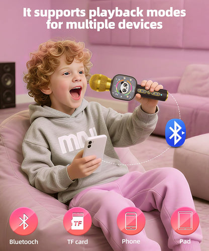 Qnxoat r Bluetooth Karaoke Microphone Toy for Kids