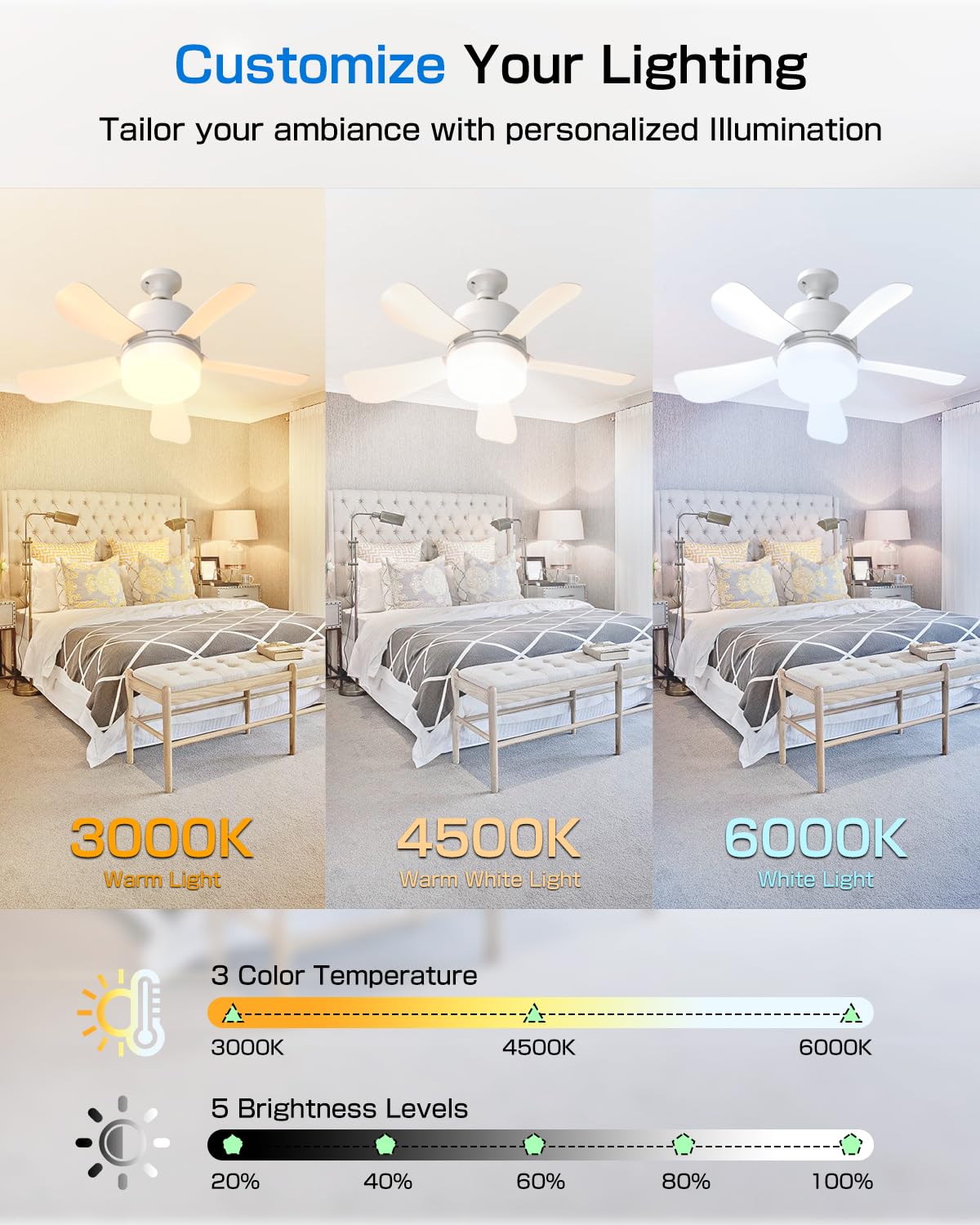 2-in-1 Socket Fan Light with Remote Control
