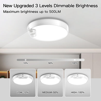 Rechargeable Motion Sensor Ceiling Light with Remote