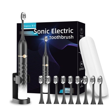 Electric Toothbrush Set with 10 Brush Heads