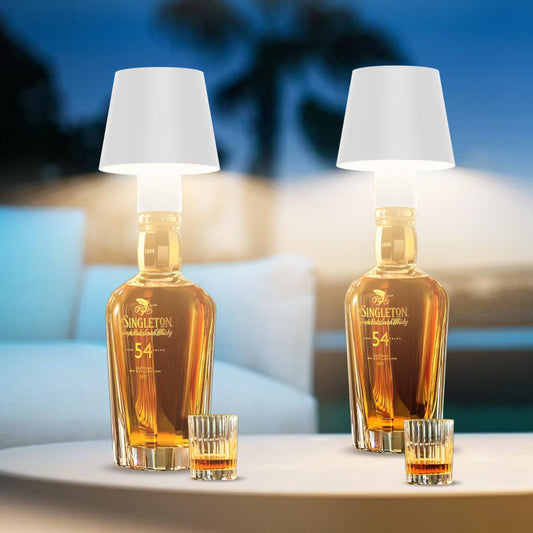 2 Pack Howskys LED Dimmable Bottle Lamp