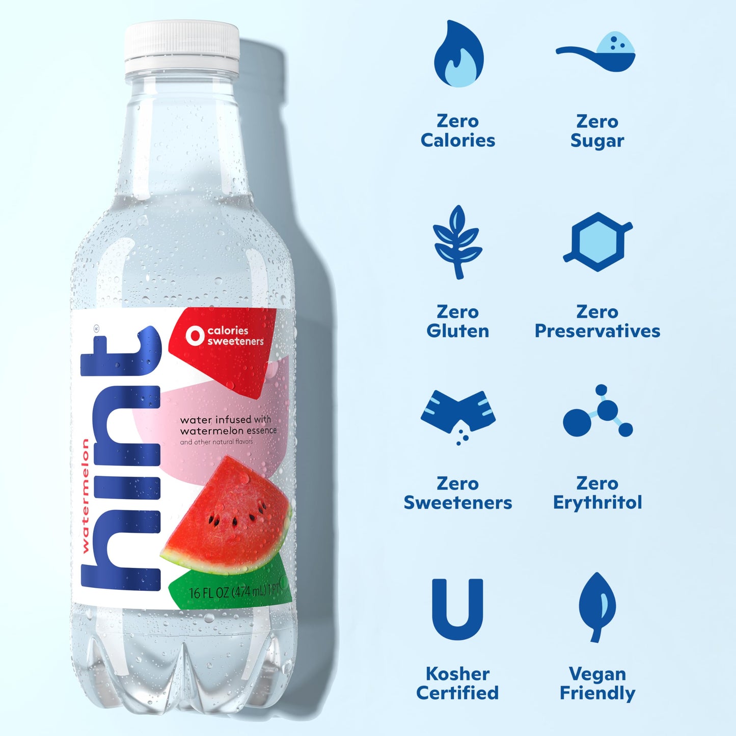 12 Pack Hint Water Best Sellers Variety