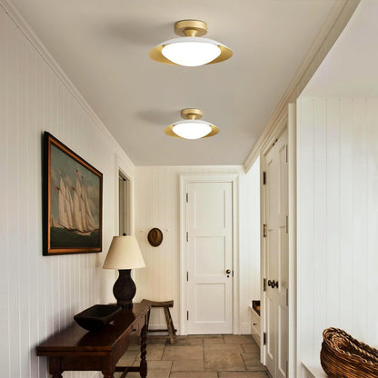Dimmable Mid Century Modern Ceiling Light Fixture