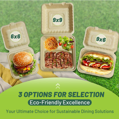 Compostable To Go Food Containers 50-Pack