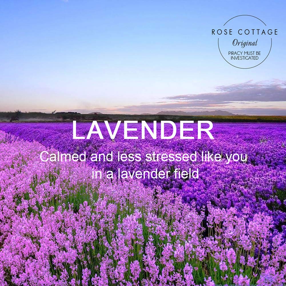 Lavender Hanging Closet Deodorizer Sachets - 12 Pack