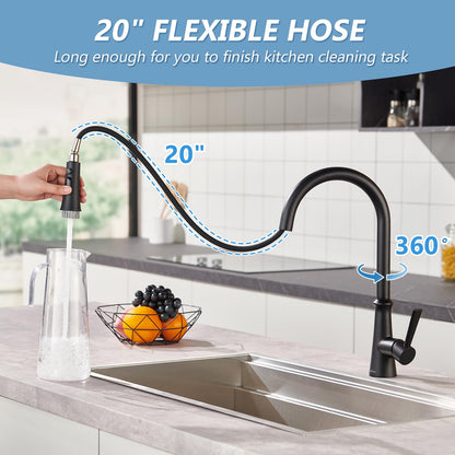Aktines Matte Black Kitchen Faucet with Sprayer