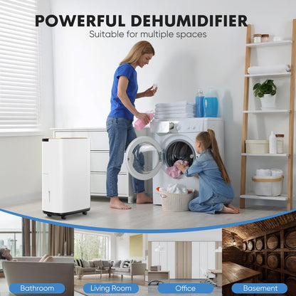Sweetcrispy 30 Pint Portable Dehumidifier for Home