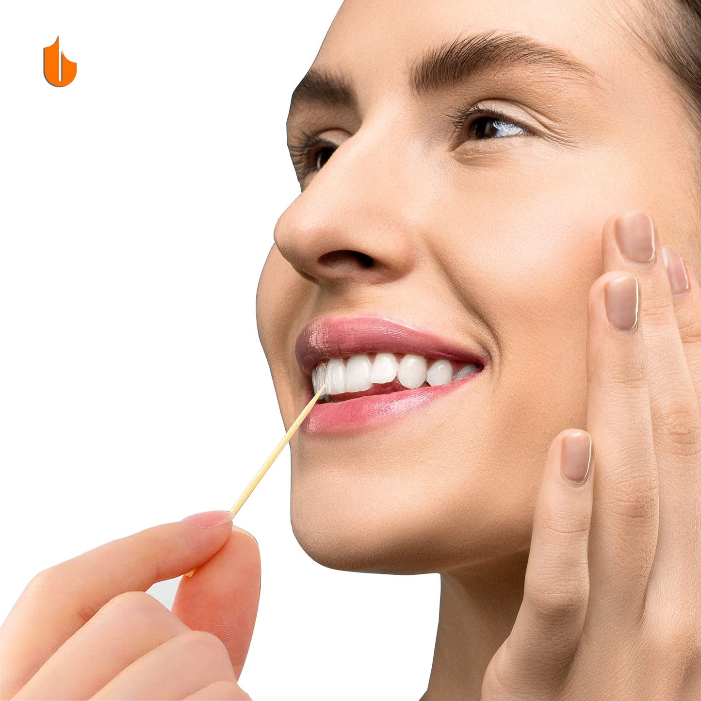 Sturdy Toothpick Holder with 1600 Natural Picks