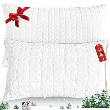 Queen Size Down Alternative Pillows Set of 2