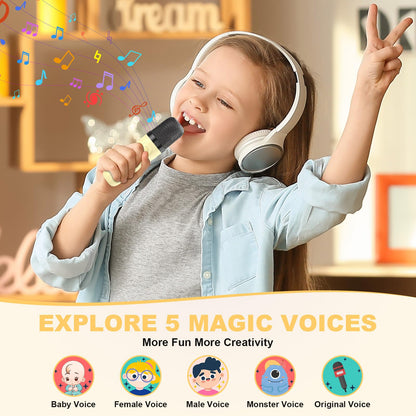 Portable Karaoke Machine with 2 Wireless Microphones