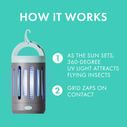 Electric Fly & Mosquito Trap with USB Charger