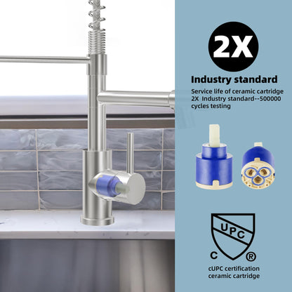 CABONG Pull Down Kitchen Faucet with Sprayer