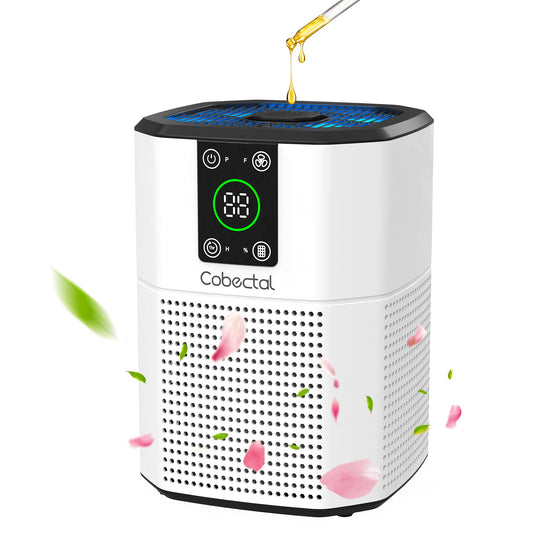 Air Purifier with HEPA Filter & Aroma Function
